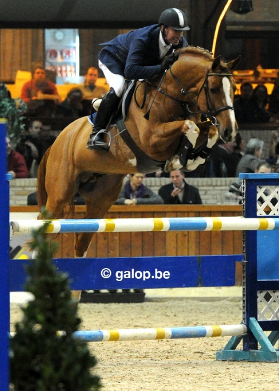 Emerald vh Ruytershof naar Stal Euro Horse